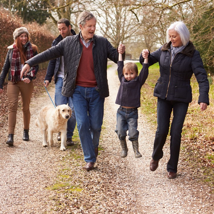 Insurance agency in Allen, TX